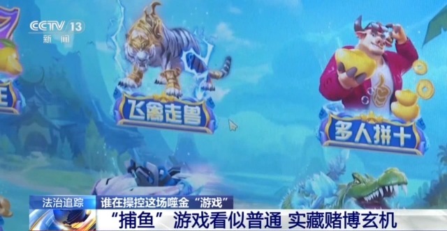 玩家 男子玩捕鱼小输掉房子还负债瓦力游戏试玩法治丨套路专坑游戏(图6)