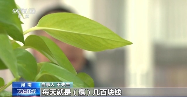 玩家 男子玩捕鱼小输掉房子还负债瓦力游戏试玩法治丨套路专坑游戏(图13)